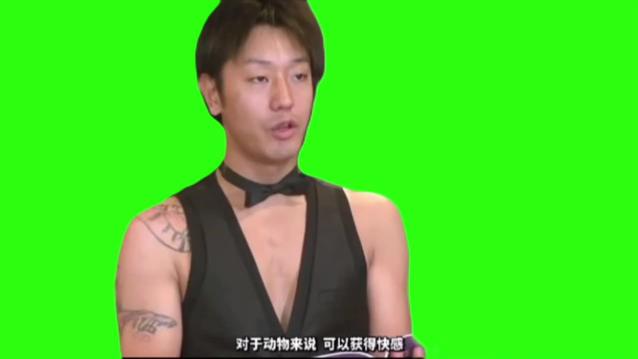 【homo金曲】多分、風纯人声