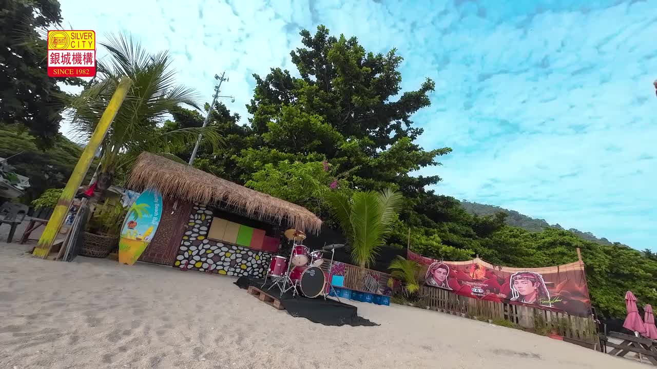 03. Lemon Tree + 鸭子