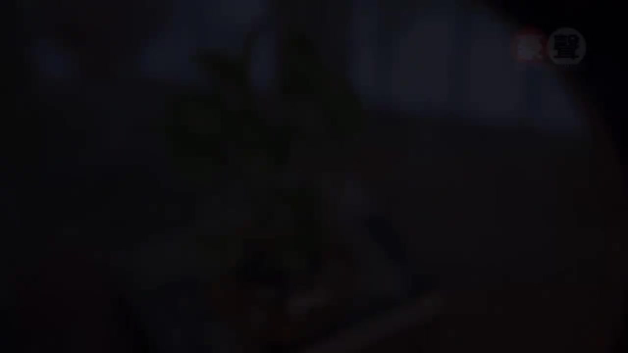 06. 心恋 + 寻梦园 (经典组曲)