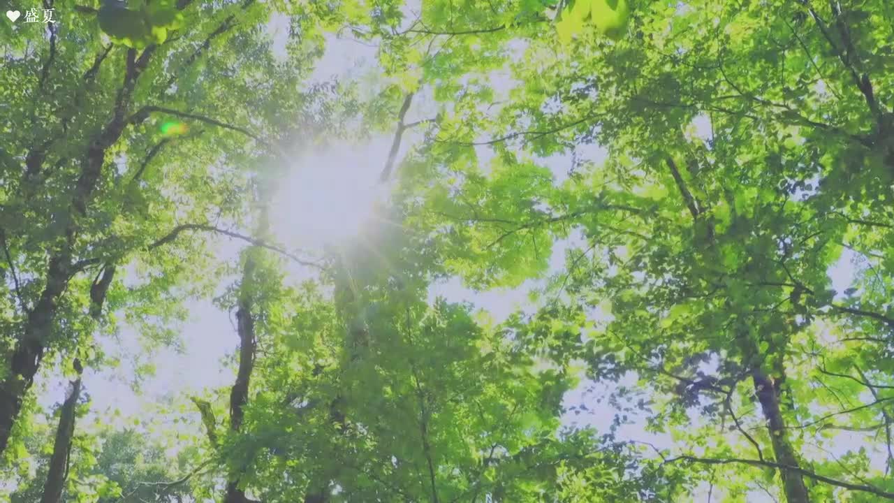 下部