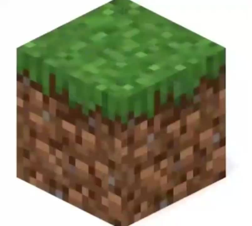 竹节虫？(音效)