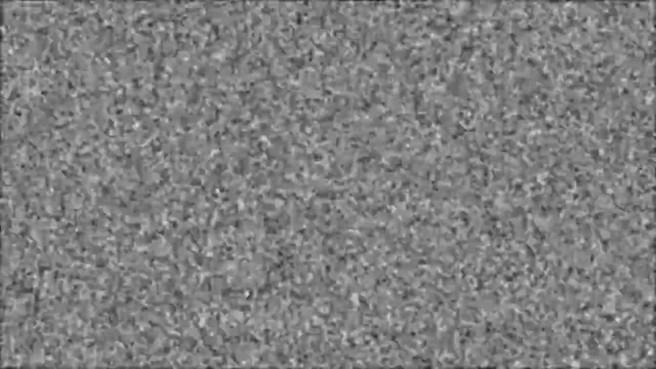 嘶—— (雪花屏)