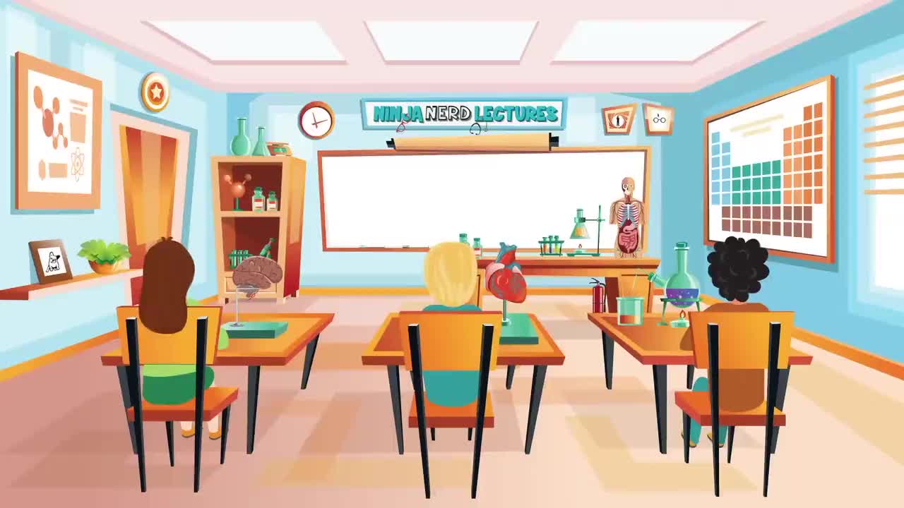 (17)Neurology Midbrain Anatomy & Function -3Pj5sNqf-Y_压制版