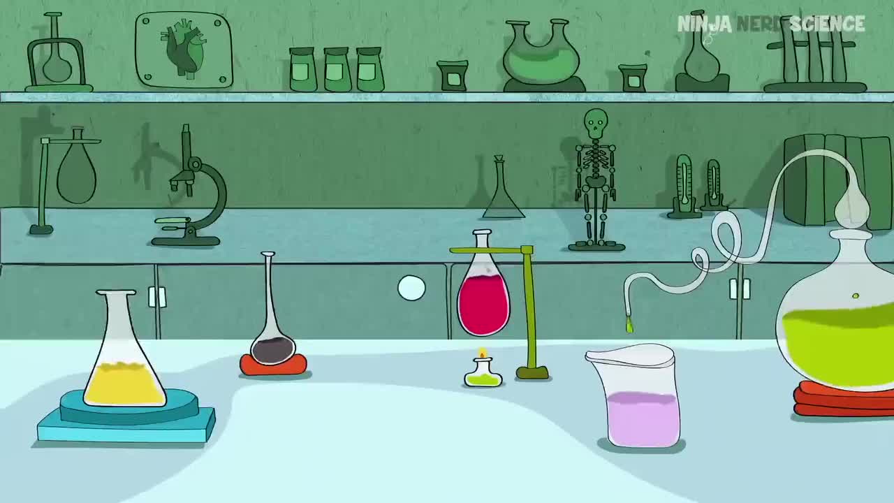 (48)90Neurology Olfactory Nerve Cranial Nerve I VoZ4oyikyUs_压制版