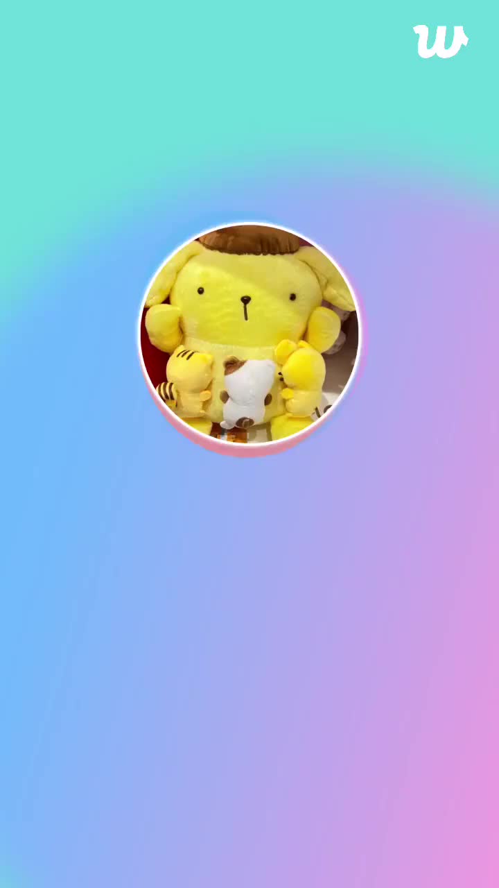 【EVERGLOW】金施贤语音直Weverse LIVE 250203