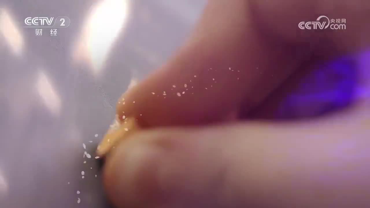 第2集 人民城市人民建