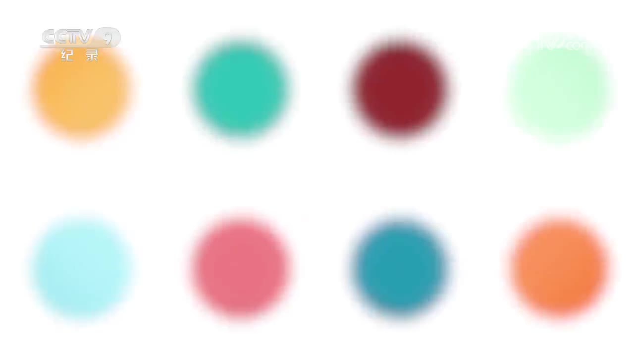 第5集 圆滚滚的一天