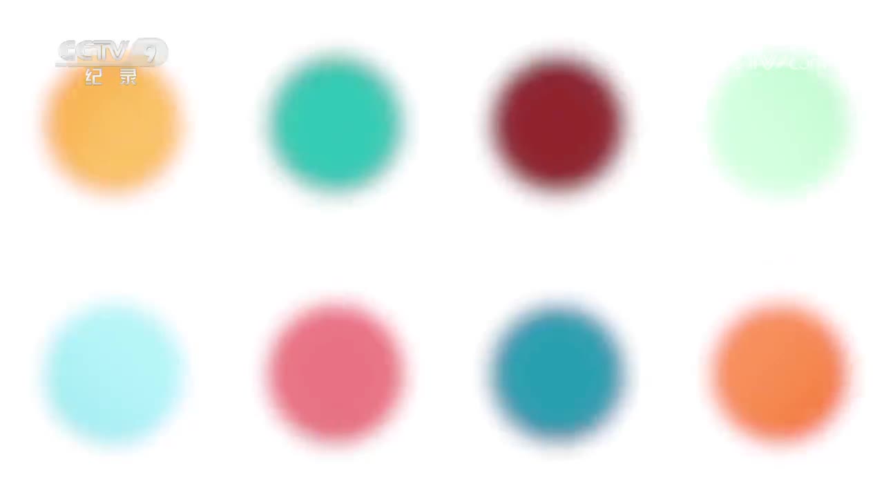 第7集 陪伴你治愈我