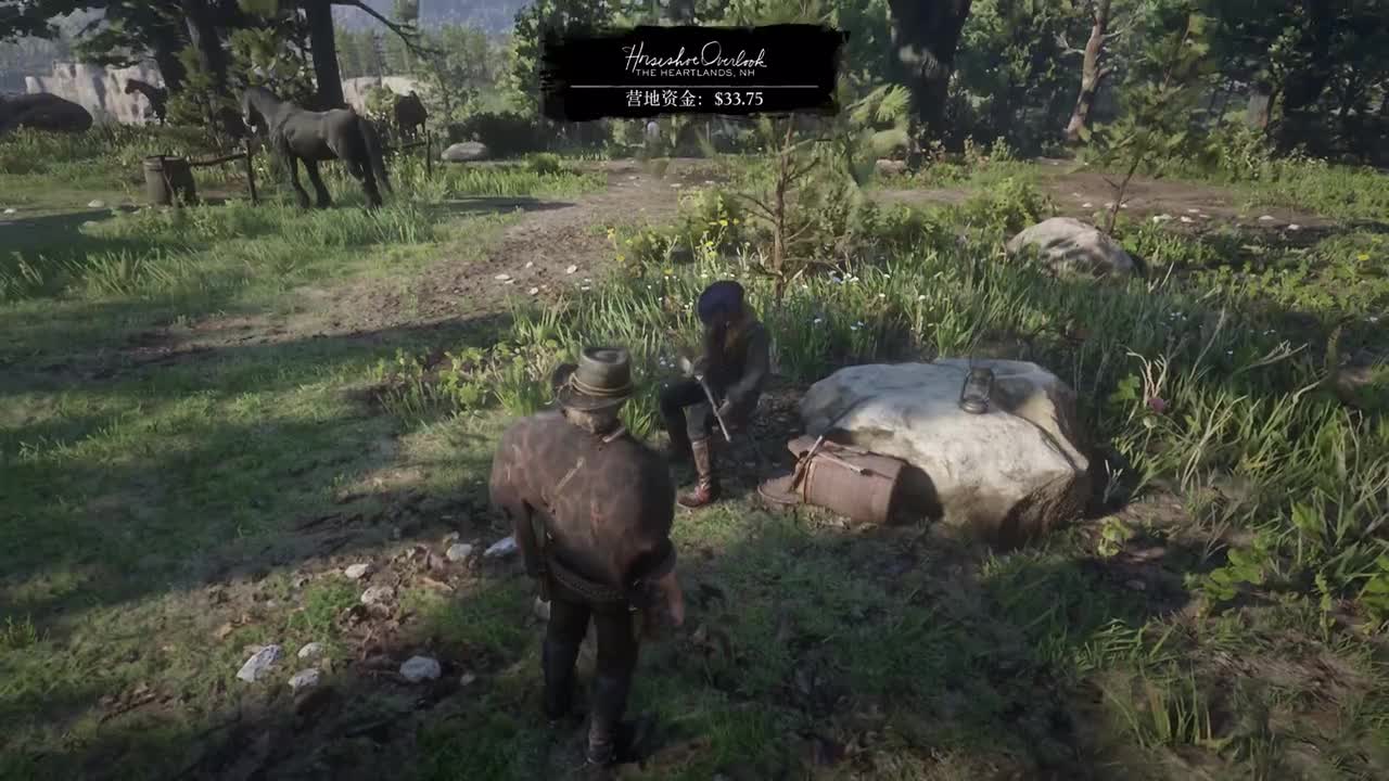 12.自尊，负伤离场 何西阿