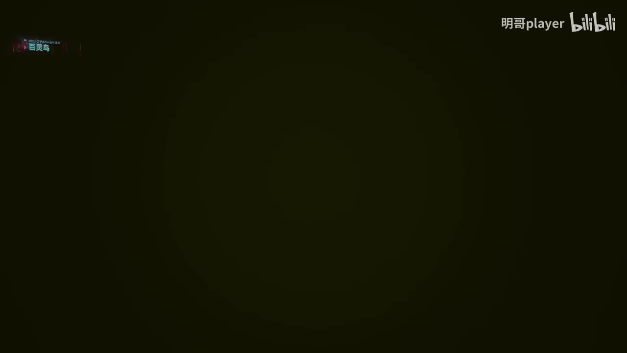 41.飞机从头顶飞过 蛛网下的苍蝇