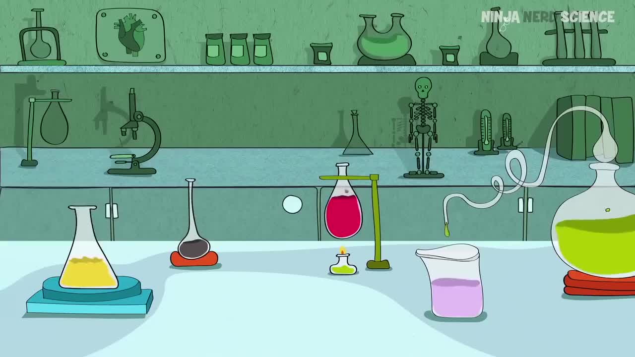 (2)Immunology _ Inflammation_ Cellular Events_ Part 2_压制版