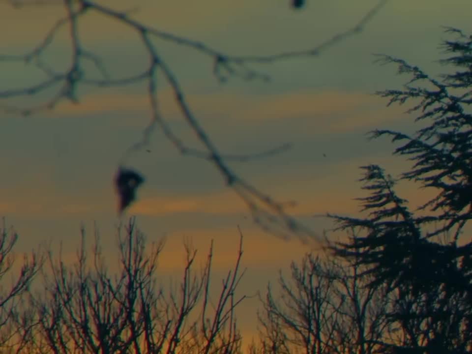 17-Static dead end 25.2.13