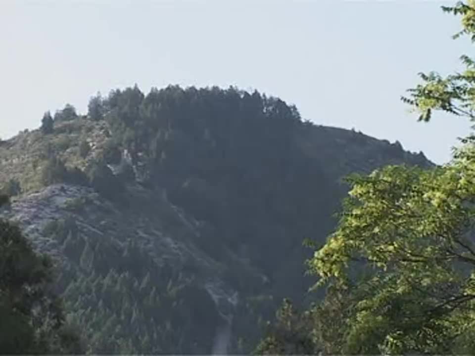 商芳会《大报仇》