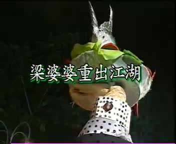 梁婆婆重出江湖