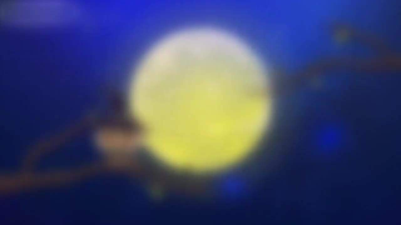 22、第二十二讲_三角形的认识及性质