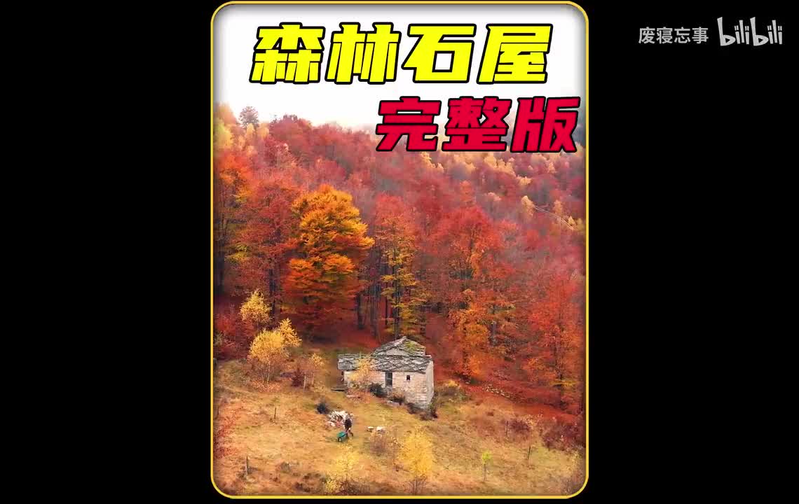 荒野建造124