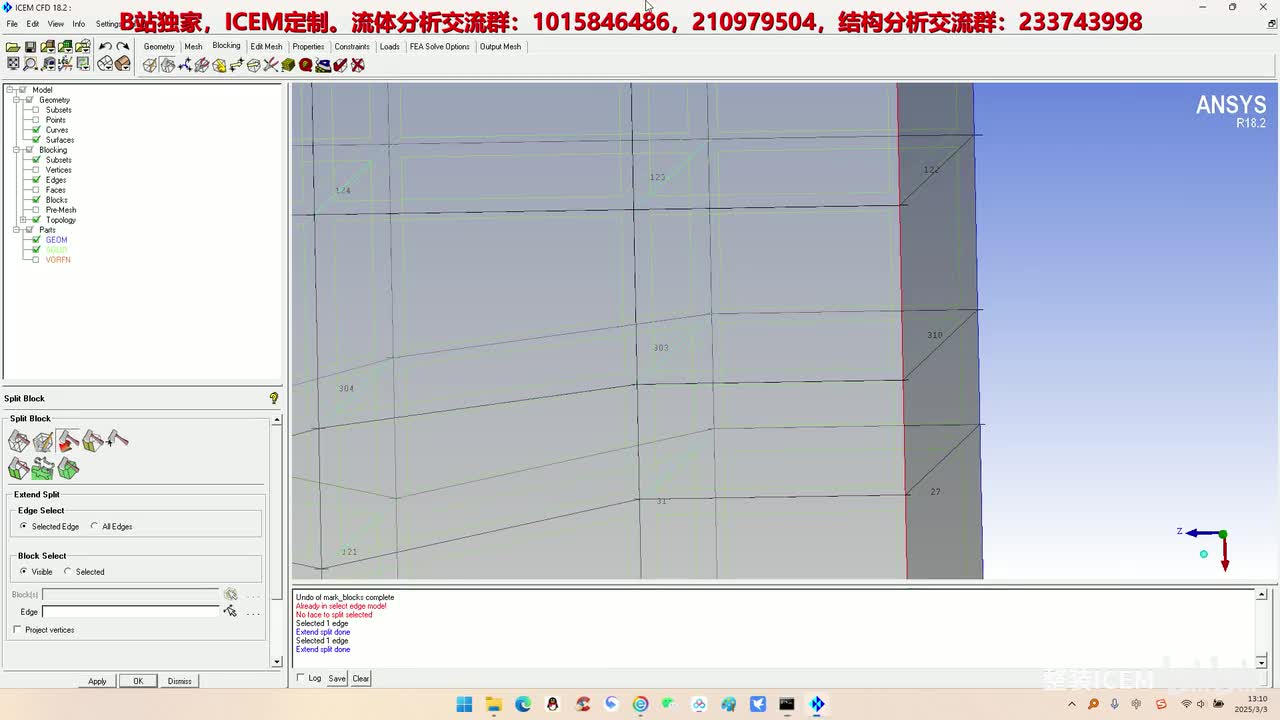 补充讲解-ICEM3D创建块/局部切分后显示隐藏边线