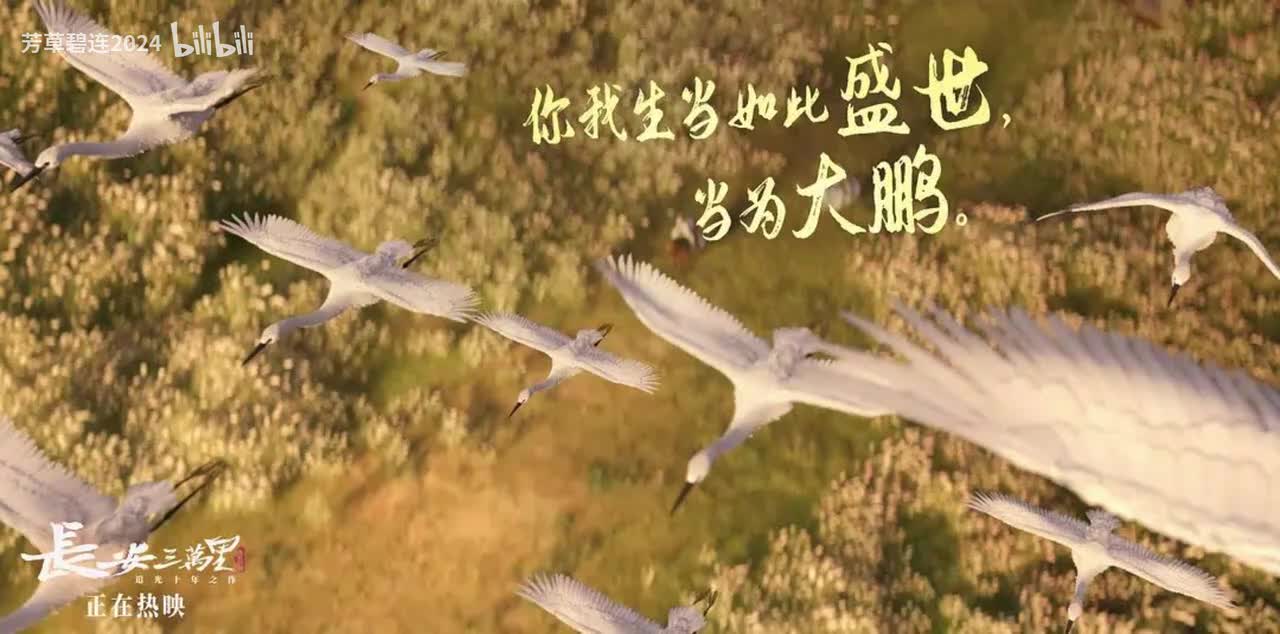 Heroicopolus - X-Ray Dog