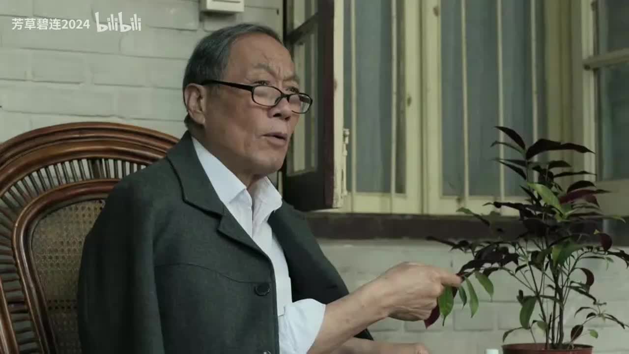 誓如当初 - 许鹤缤