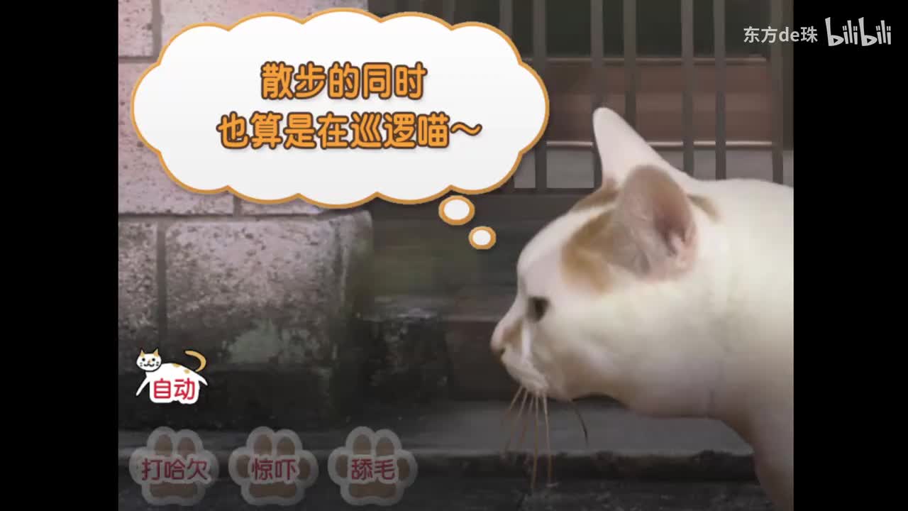 彩蛋结局 | 猫之怪奇谭