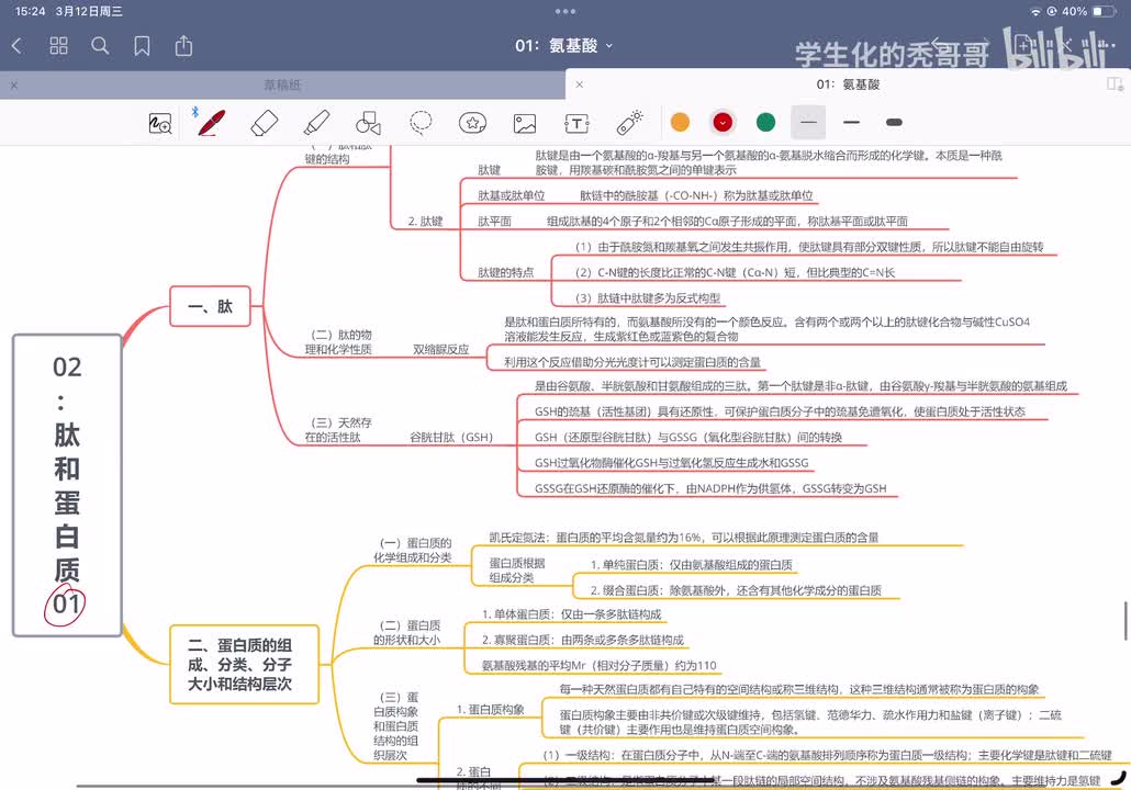 02：肽和蛋白质01