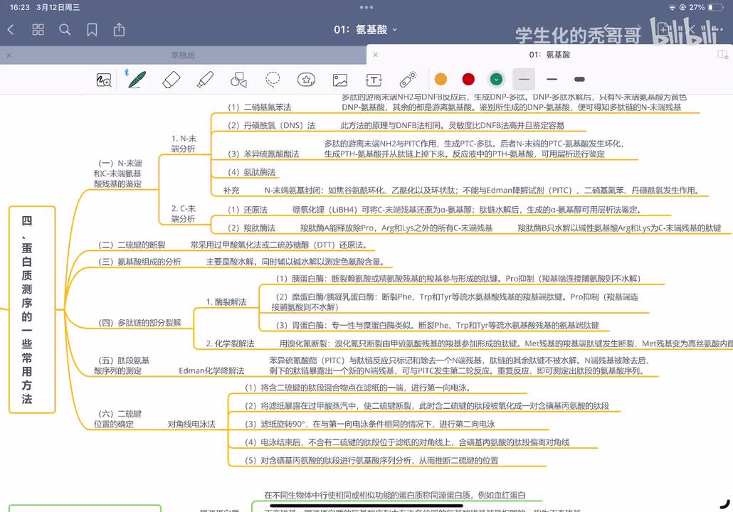 02：肽和蛋白质04