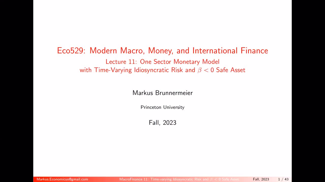 11. Monetary Store of Value Model with Time-varying Idiosyncratic Risk and Safe