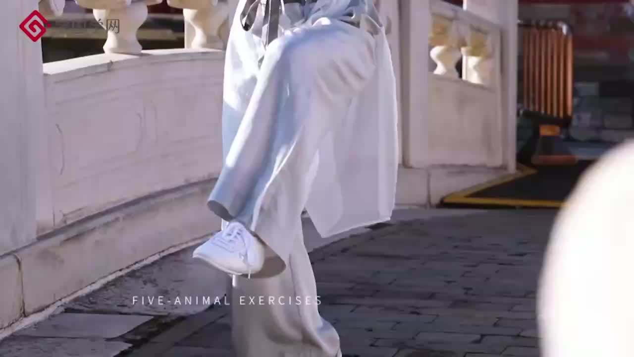 第15节 鸟戏之鸟伸