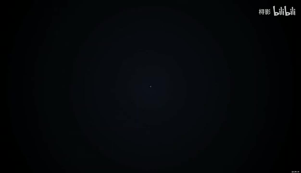 世界上最帅的猪（数数）