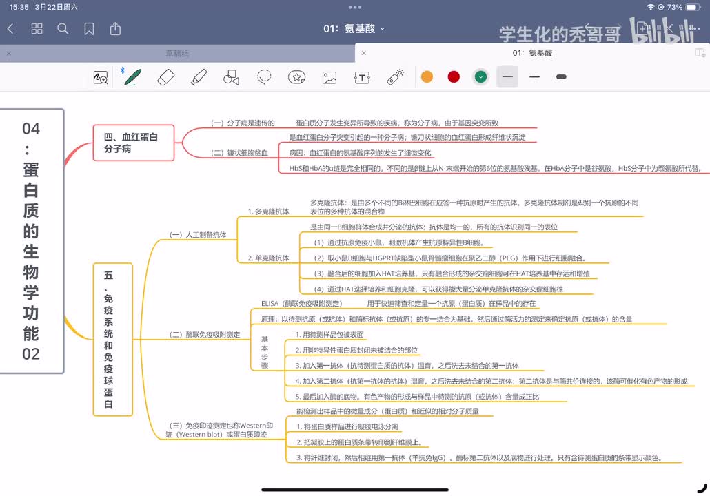 04：蛋白质的生物学功能03