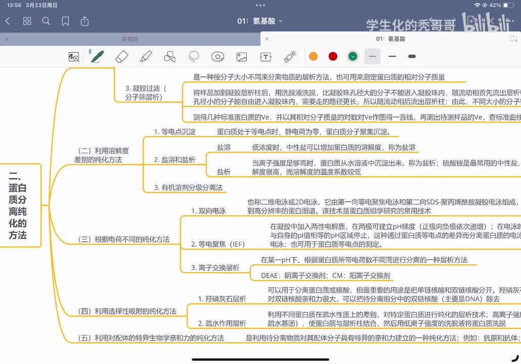 05：蛋白质的性质、分离纯化和鉴定02
