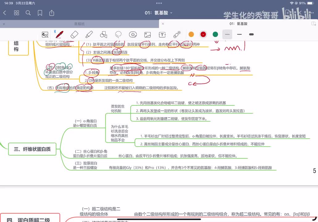 03：蛋白质的三维结构03