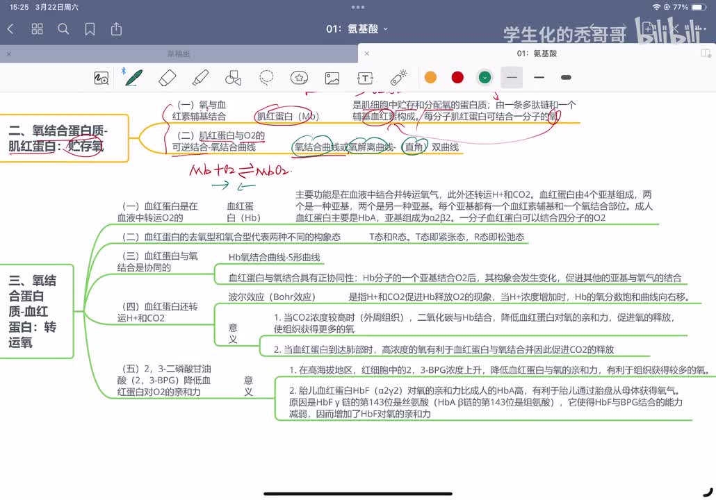04：蛋白质的生物学功能02