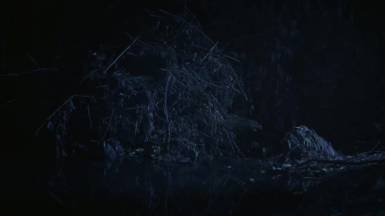 伏尔加河野性国度 大河诞生 10