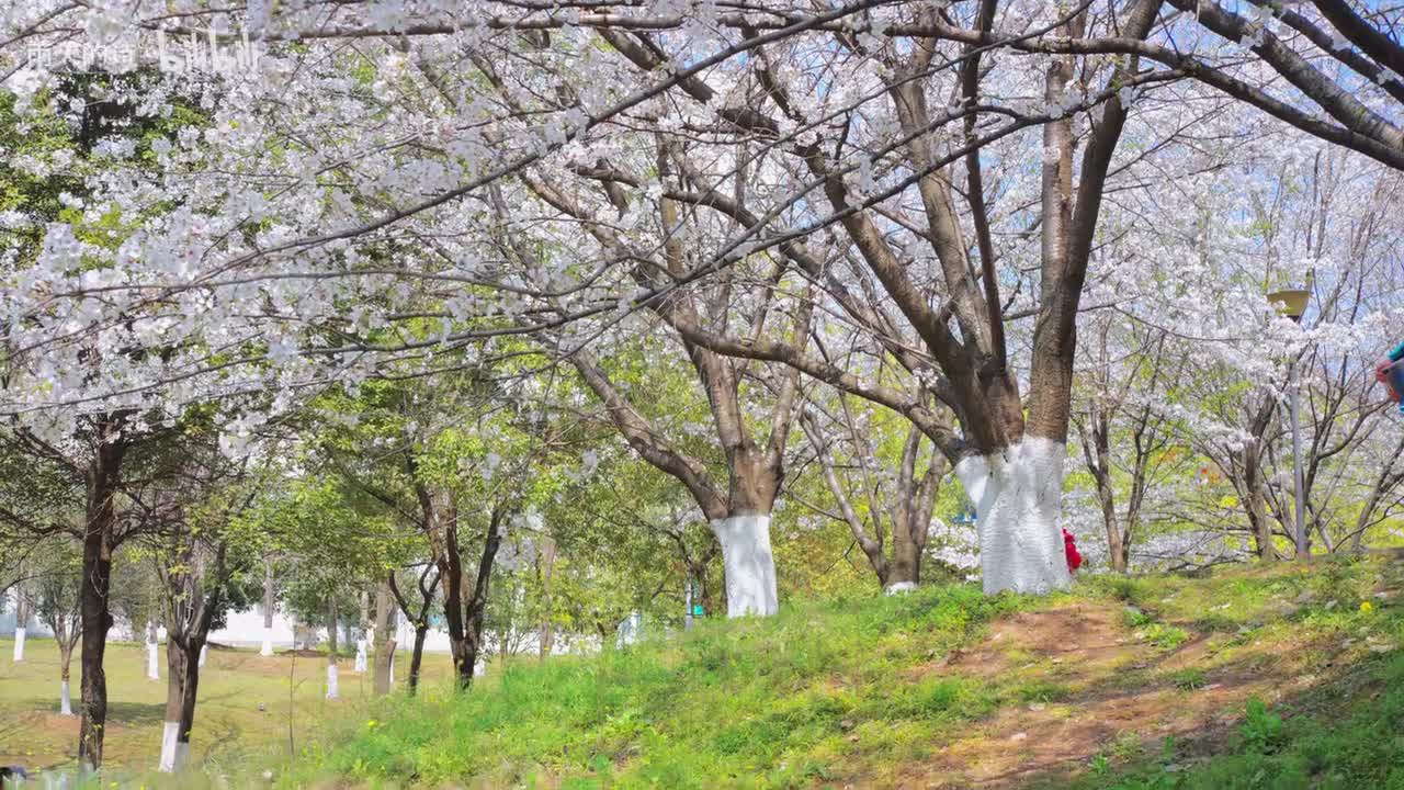 止不住让人心动