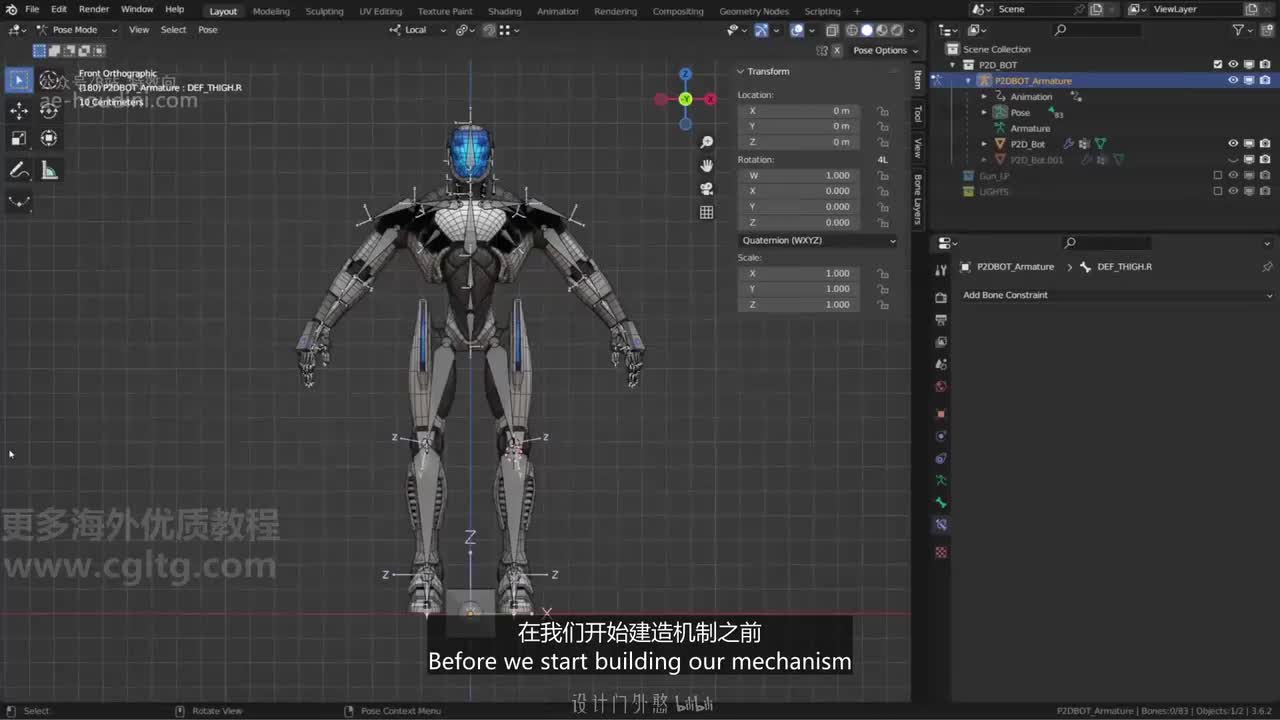 06_13 ORG骨骼架构