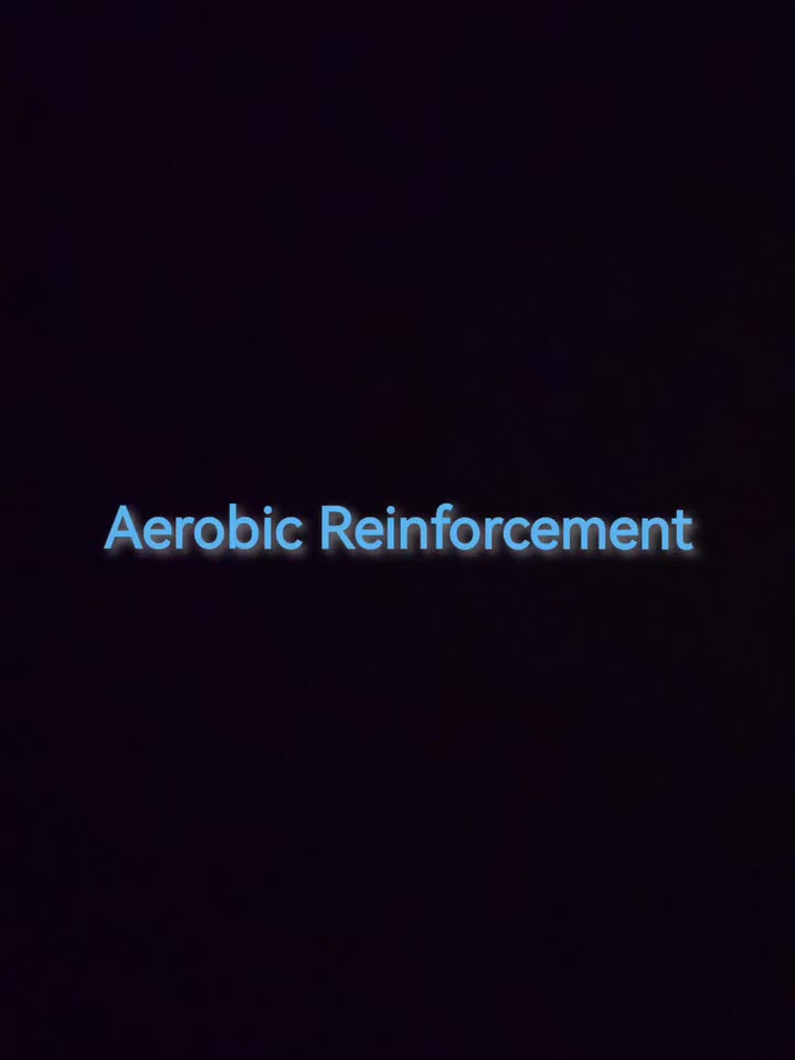 泰拉瑞亚Calamity Community Remix模组 穹息之囚--Aerobic Reinforcement（大气之灵）
