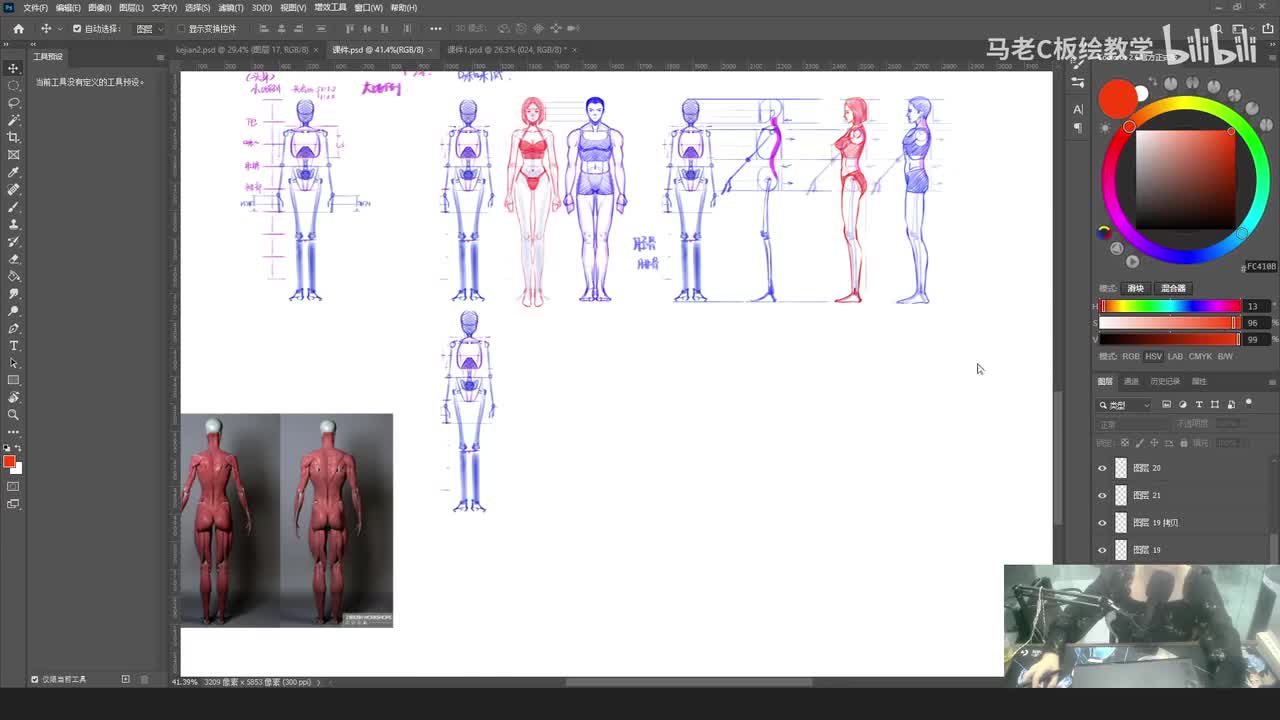 5.背面男女结构区别