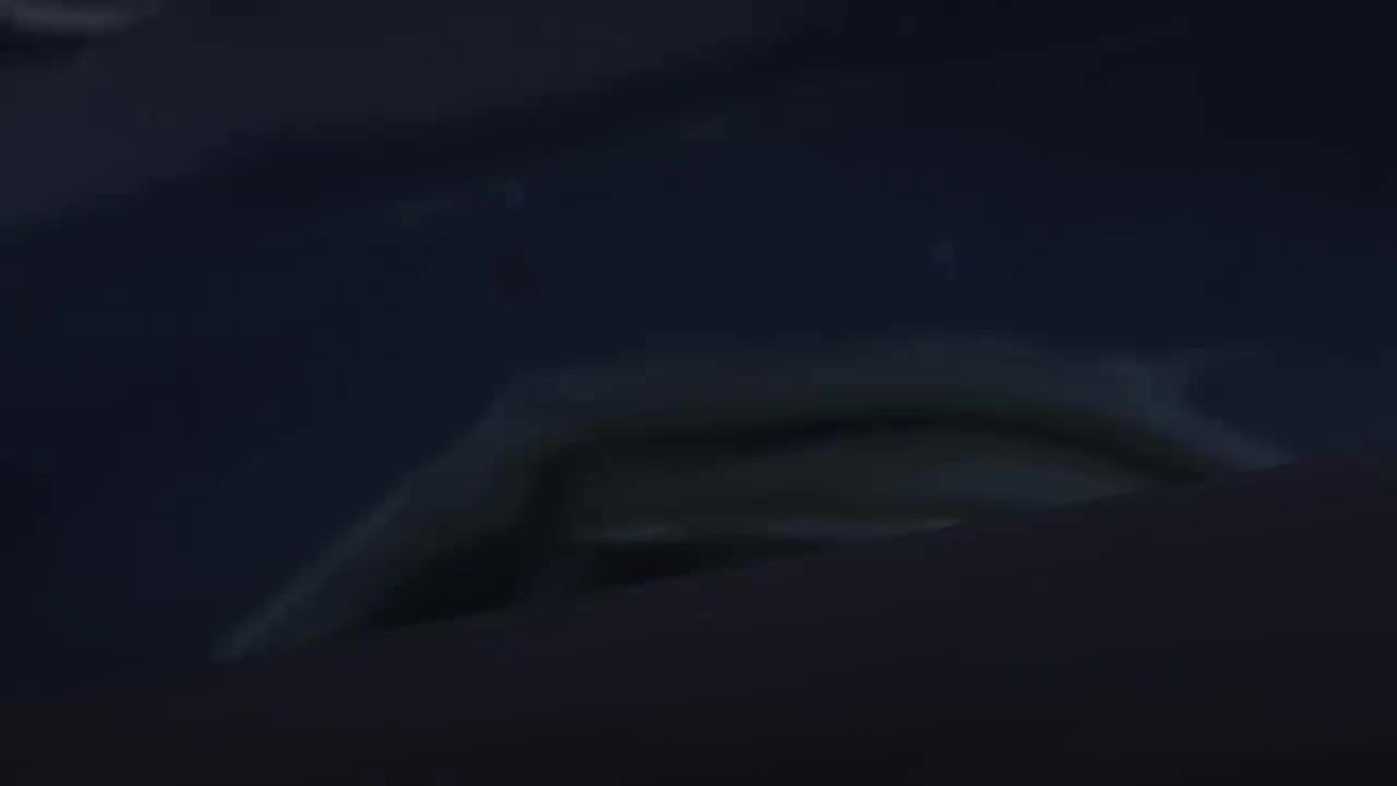 4（男漂）【过场动画】同行解题