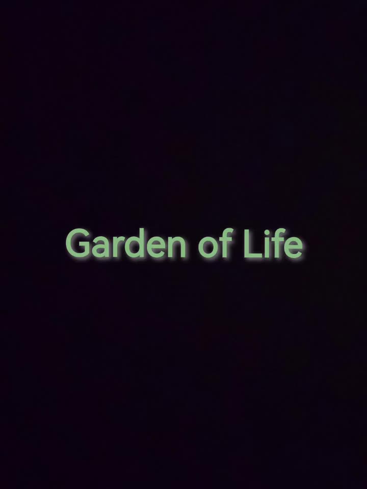 泰拉瑞亚Homeward Journey模组 繁茂花园生生不息--Garden of Life（万籁携生）