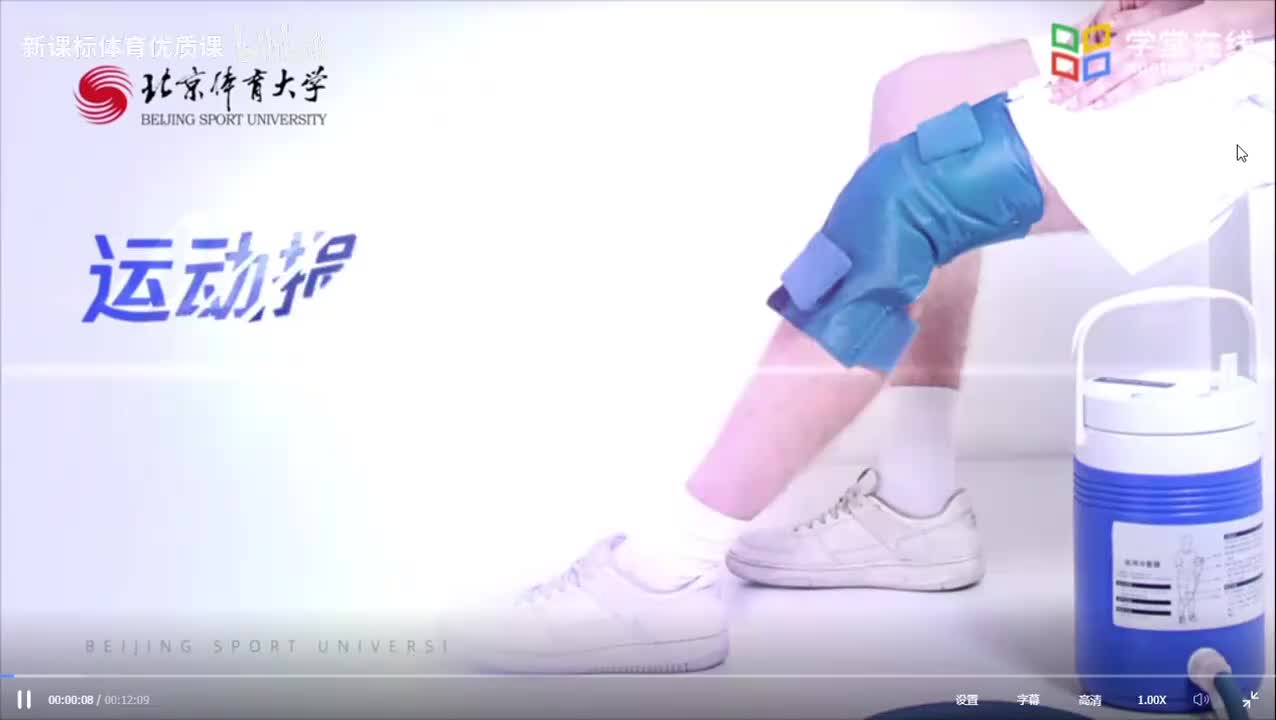 4.4踝关节侧副韧带损伤的表现和检查