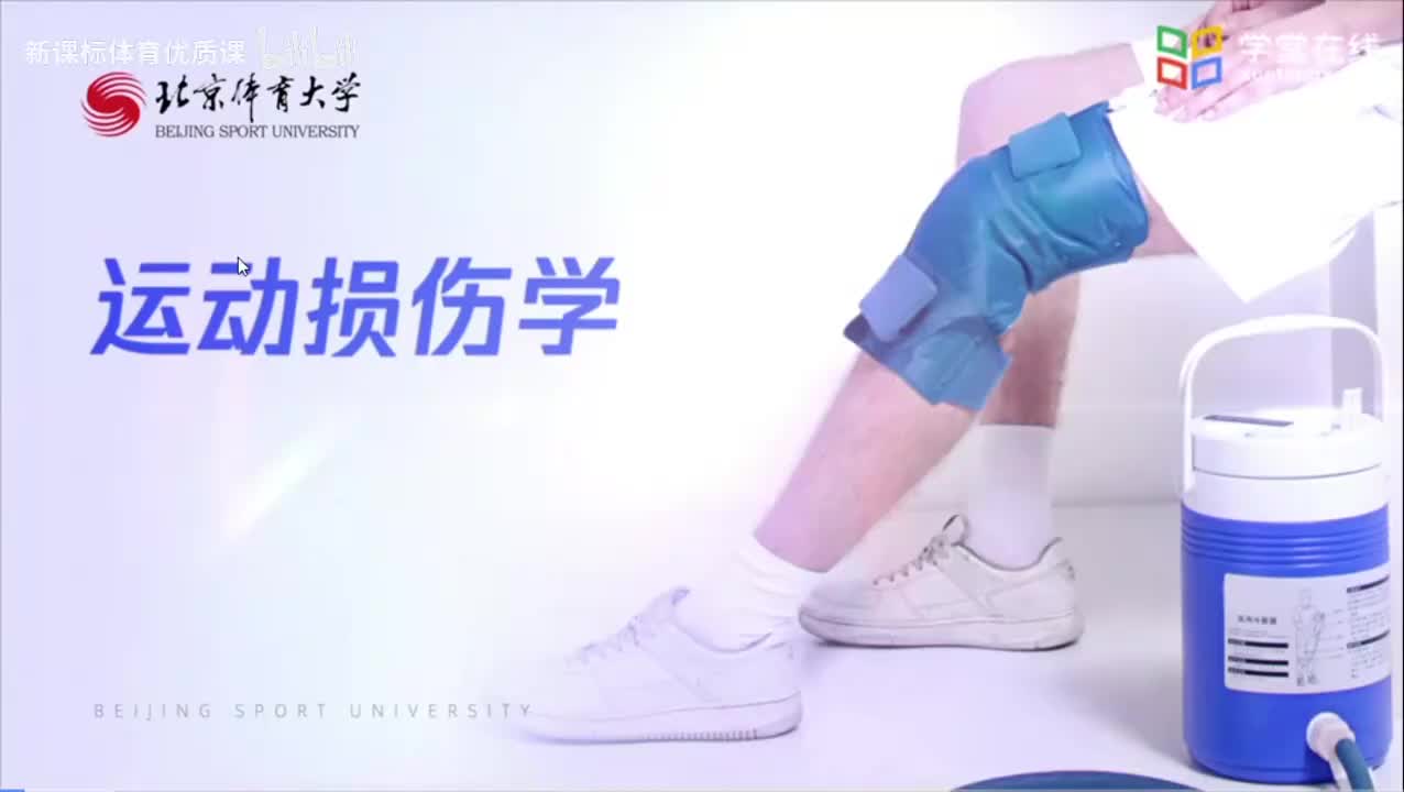 2.3.2骶髂关节损伤的表现和检查