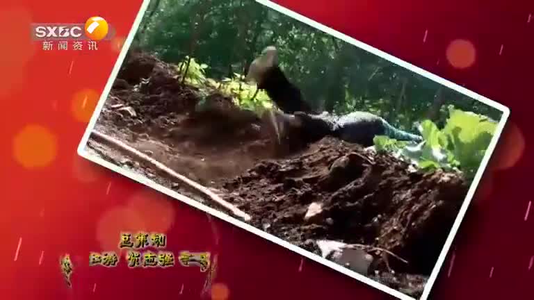 2025-04-07麻辣夫妻第一集