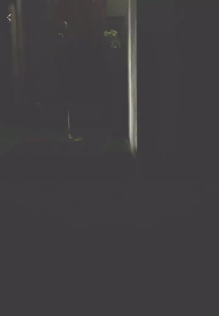 牵绊：夜袭之章