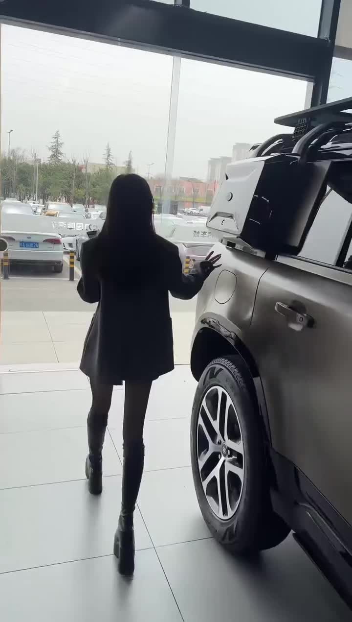 陕西大力国际车城[2025-03-28 12-43-46]