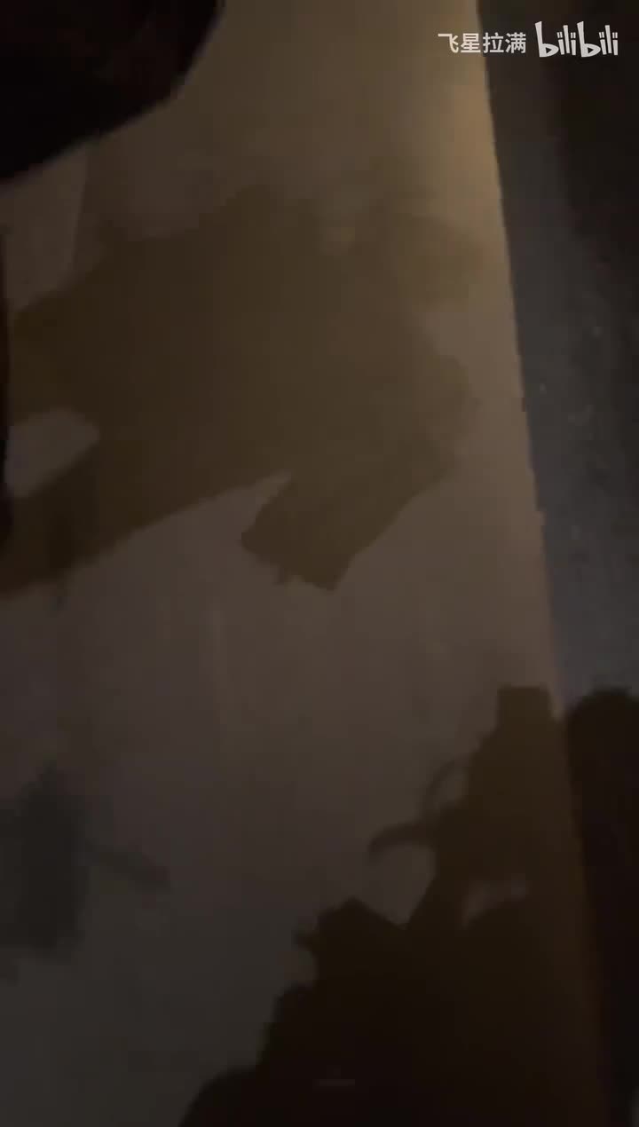 2025-04-05_211432_转码