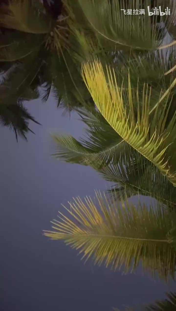 2025-04-04_191858_转码