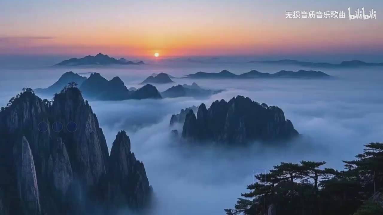 穿过你的黑发的我的手-罗大佑