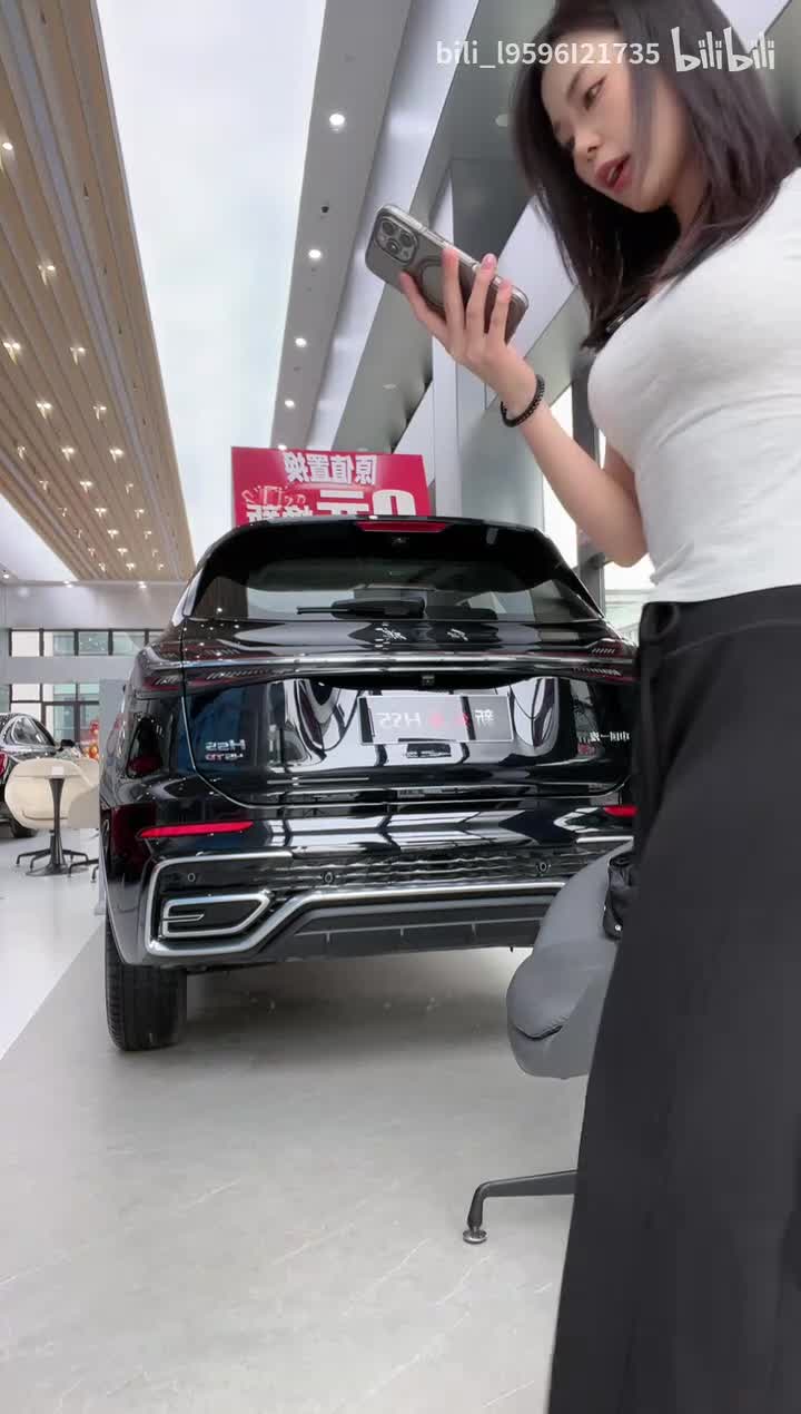 庞大红旗石家庄新华汽车园 2025.04.08