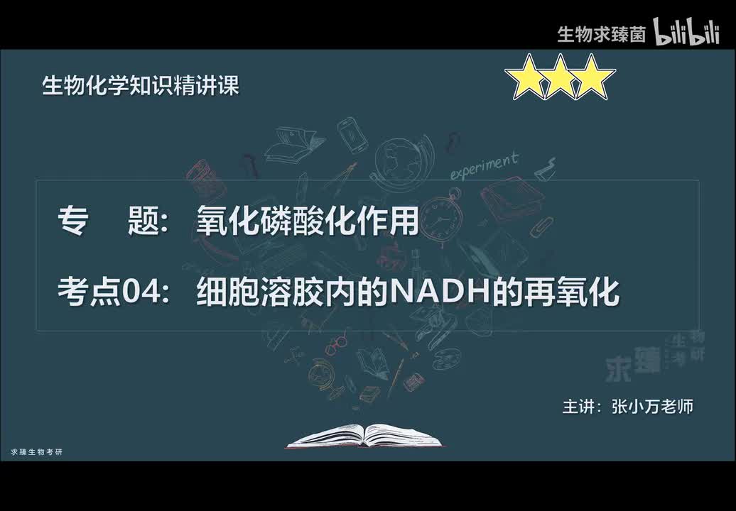 [专题19] 考点04：细胞溶胶内的NADH的再氧化
